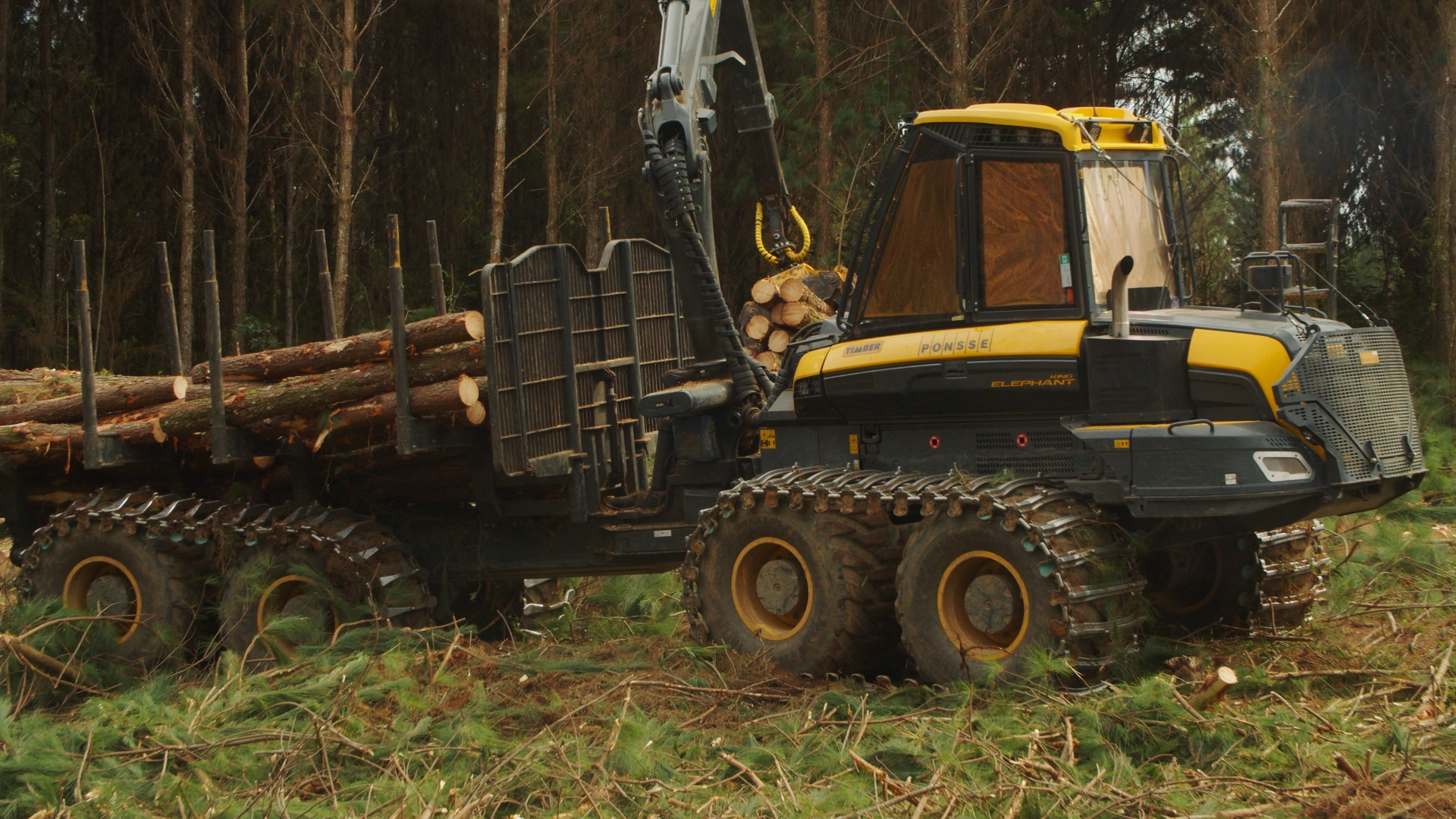 Brazilian forestry suppliers